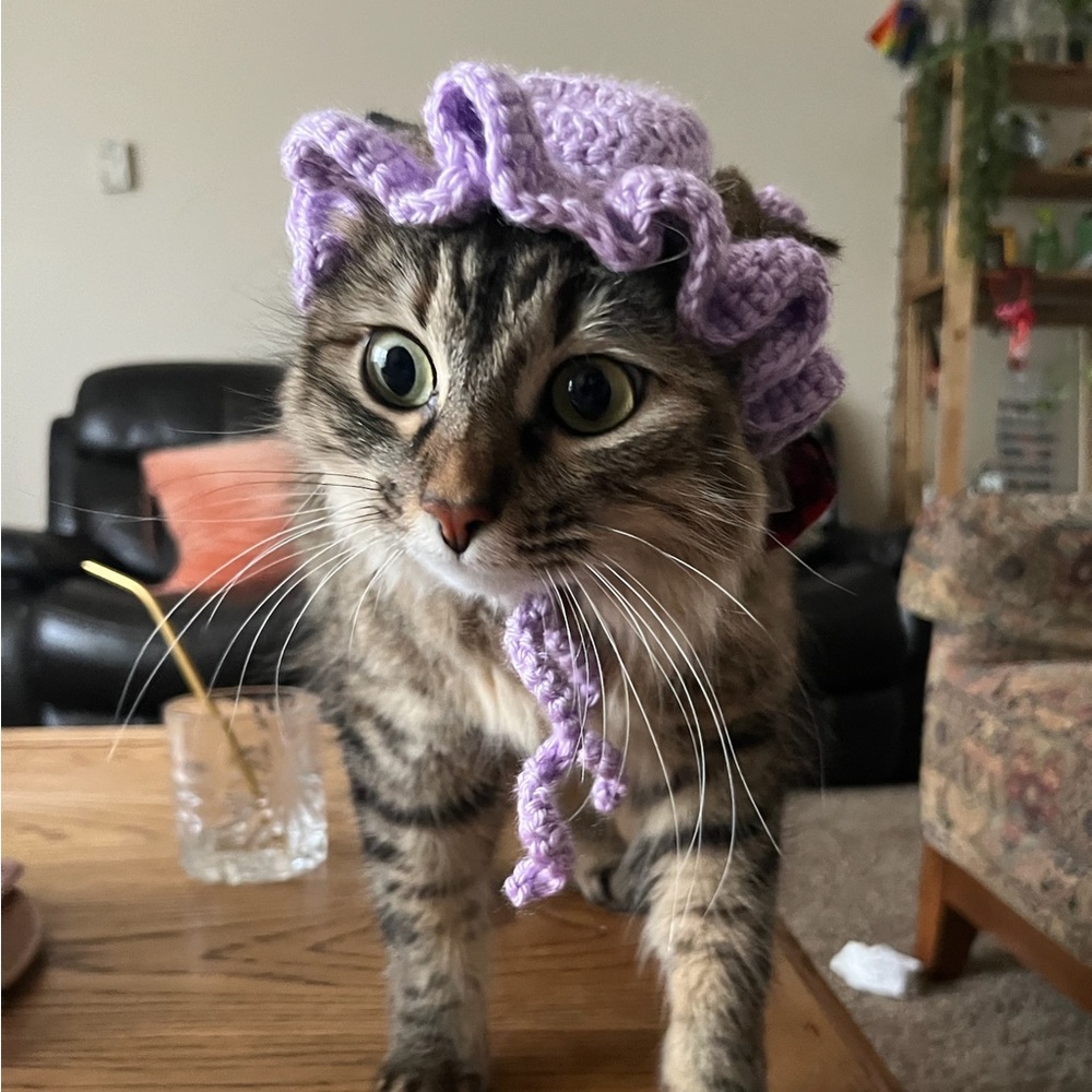 Handmade Crochet hat for your cat!
